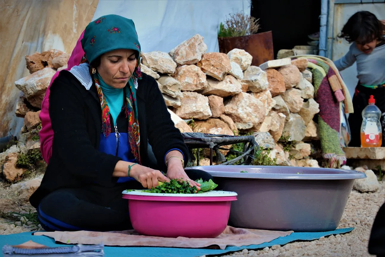 In pictures and videos...Sardam camp houses arrivals from affected areas