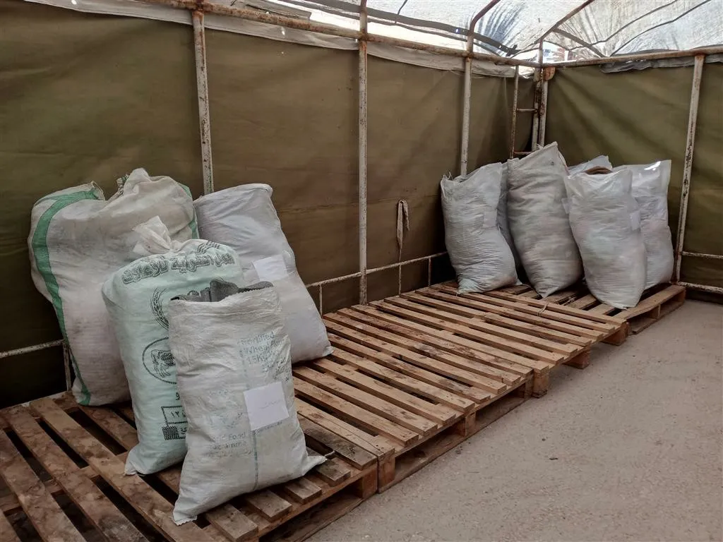 Ongoing aid campaign in NE Syria for quake-hit areas