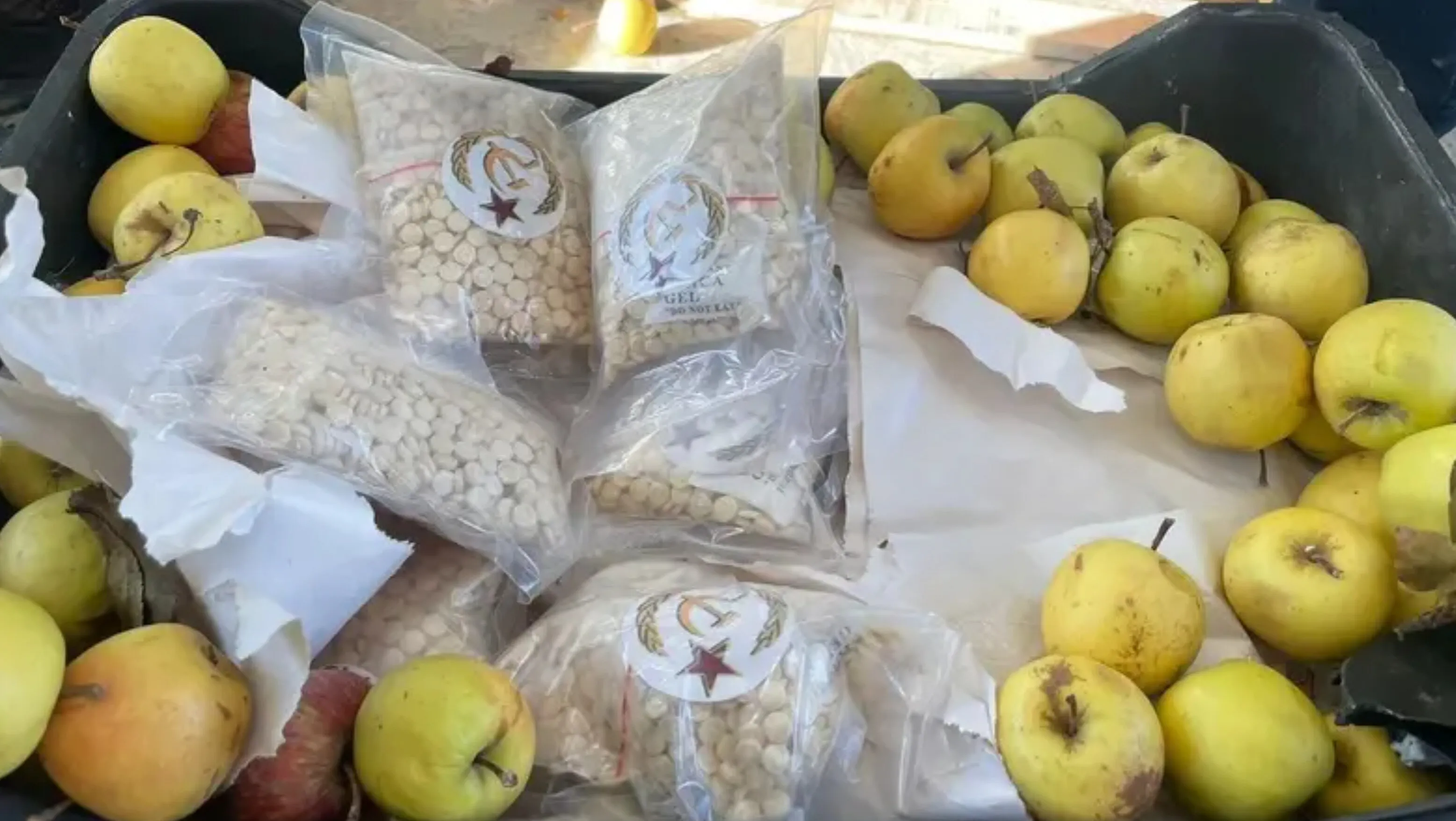 Drugs... The hidden weapon used by governments against the Kurds-2