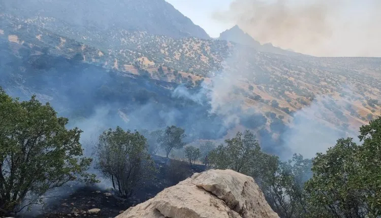 Turkish occupation warplanes bombs Mount Gari in Başûr