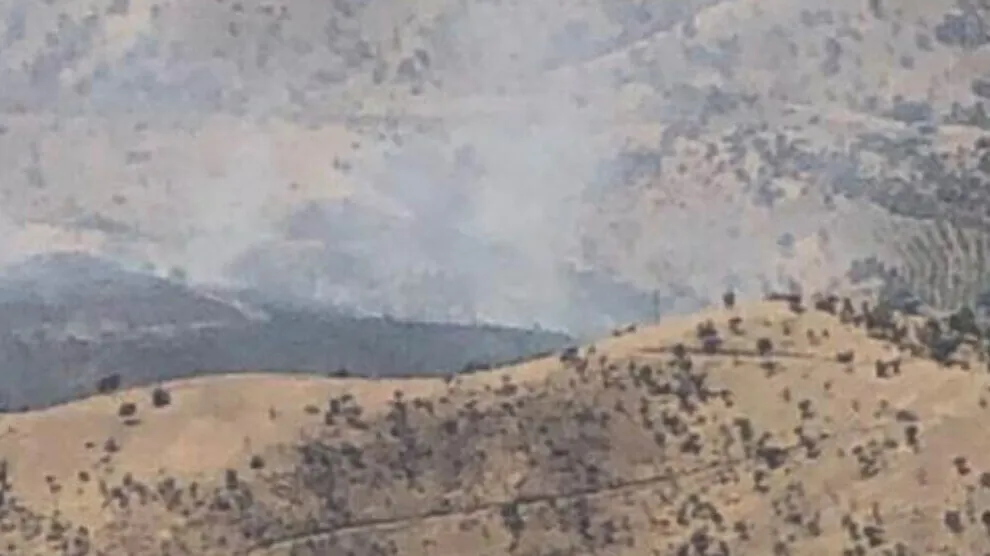 Fires on the slope of Mount Judy