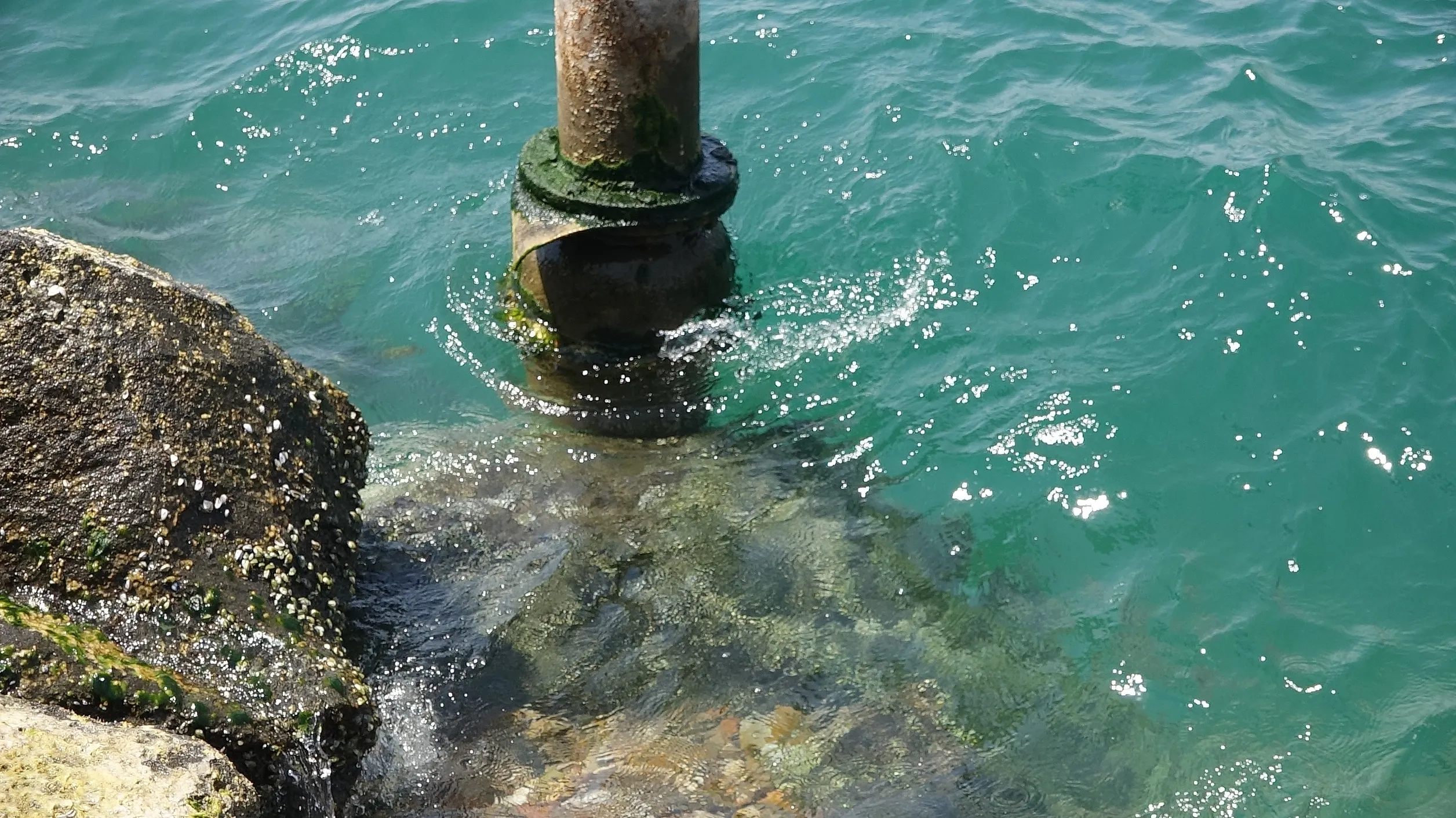 Turkey's blocking of Euphrates water deprives 50,000 people of drinking water in Tabqa