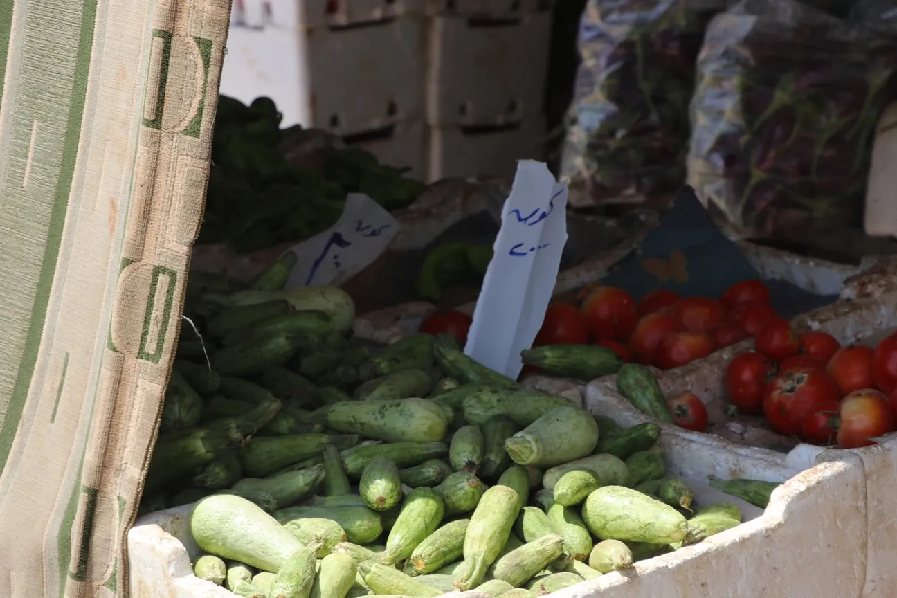 Lack of foodstuffs, high prices in besieged Shahba
