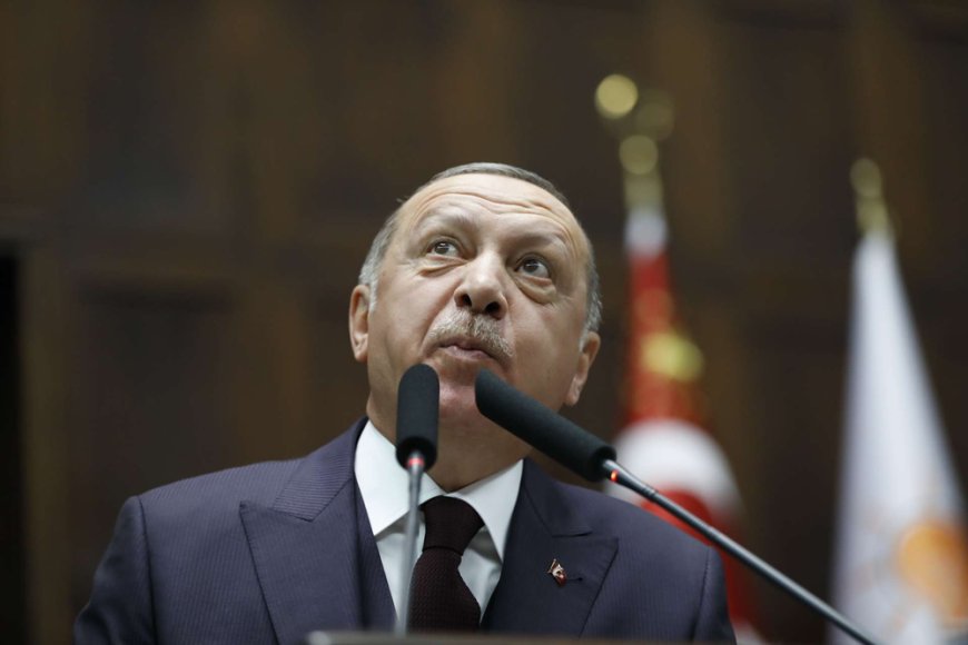Erdogan is deceitful person, shells NE, Syria non-stop, calls for protecting civilians in Gaza Strip- Kevara Sheikh NOUR