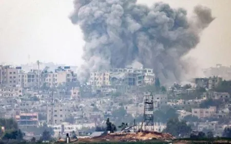 Erdogan's statements regarding Gaza are allegations violate the reality
