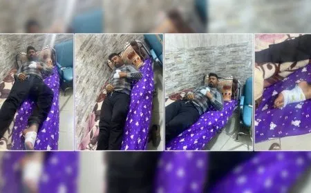 Turkish occupation shells farmers while heading to harvest olives