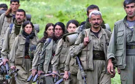 PKK in the eyes of the citizens of NE, Syria
