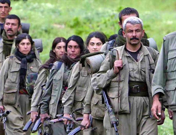 PKK in the eyes of the citizens of NE, Syria