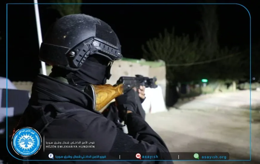 Security Forces: Mercenary arrested, another eliminated in Deir ez-Zor