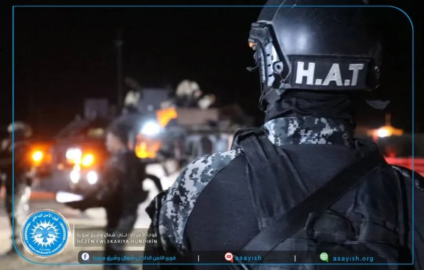 Security Forces: Mercenary arrested, another eliminated in Deir ez-Zor
