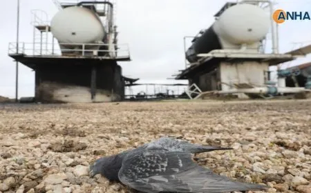Eyewitness tells details of Turkish attack on Baneh Shekfti station