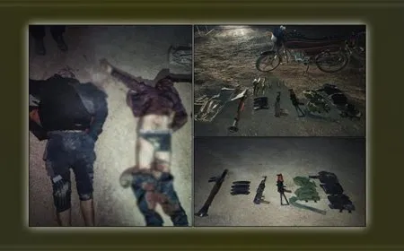 SDF kills ISIS members in Al-Shaddadi
