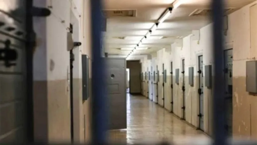 Hunger strike in Turkish jails enters its 87th day