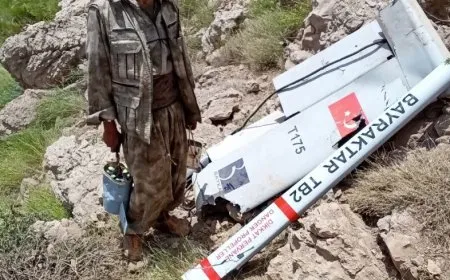 HPG publishes video of shooting down drones