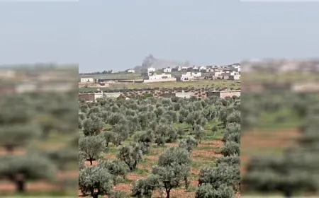 Turkish occupation bombs Shahba countryside
