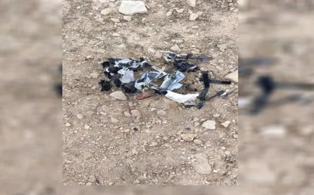 Turkish occupation UAV fall in Manbij countryside