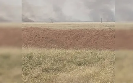 Turkish occupation mercenaries set fires near frontlines to burn farmers' crops