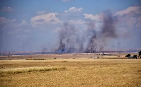 Turkish occupation mercenaries set fire to crops in Tal Tamr countryside