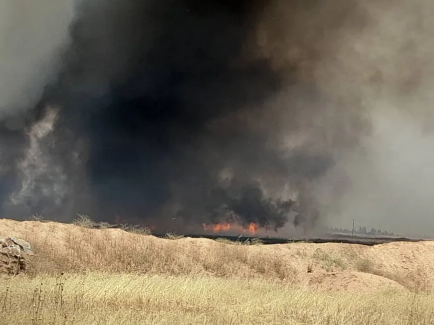 Turkish affiliated mercenaries set fire agricultural lands in Zarghan