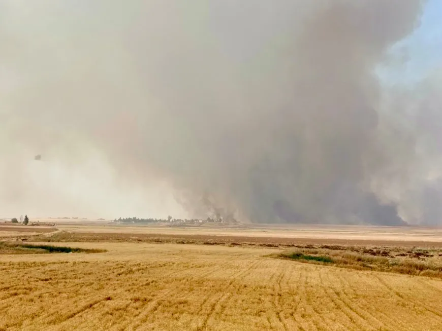 Turkish affiliated mercenaries set fire agricultural lands in Zarghan