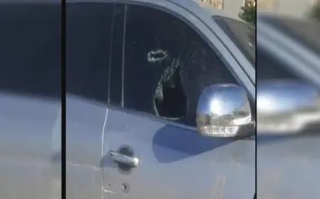 2 wounded by Turkish mercenaries bullets in Aleppo countryside