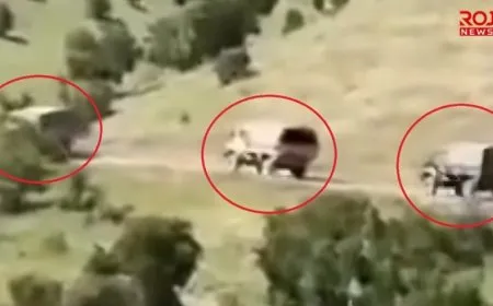 Turkish military movements in S. Kurdistan