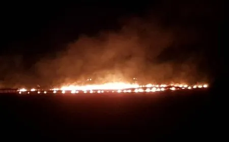 Eyewitnesses: occupation soldiers deliberately burned agricultural crops