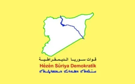 SDF eliminates ISIS leaders and arrests others 
