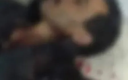 Young man's body found in occupied al-Bab city
