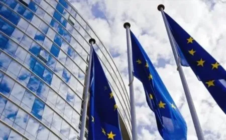 Researcher confirms that rise of the far right is the beginning of major transformation in Europe