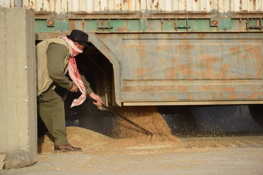 DAA: 20 thousand tons of wheat received so far