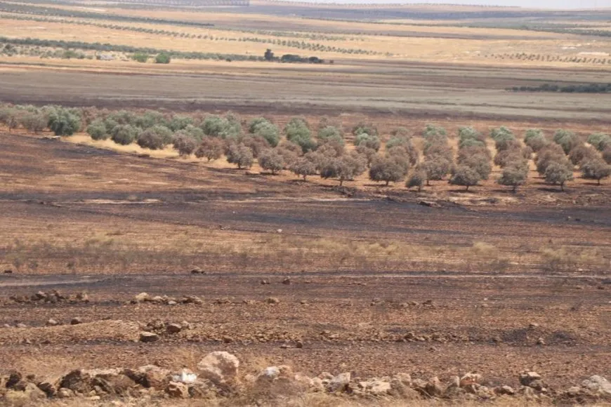 Extensive areas burned in NE, Syria owing Turkish occupation bombing