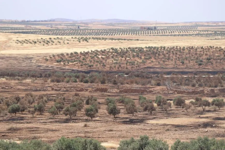Extensive areas burned in NE, Syria owing Turkish occupation bombing