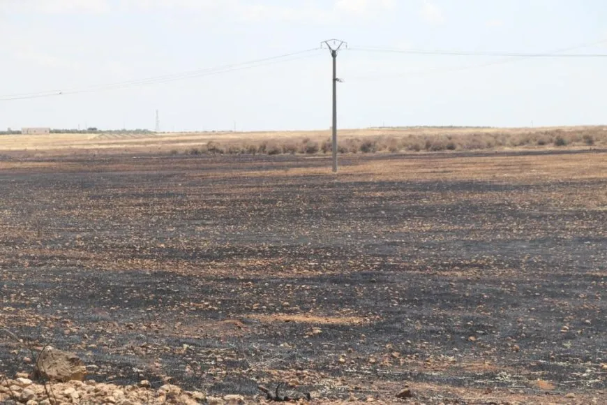 Extensive areas burned in NE, Syria owing Turkish occupation bombing