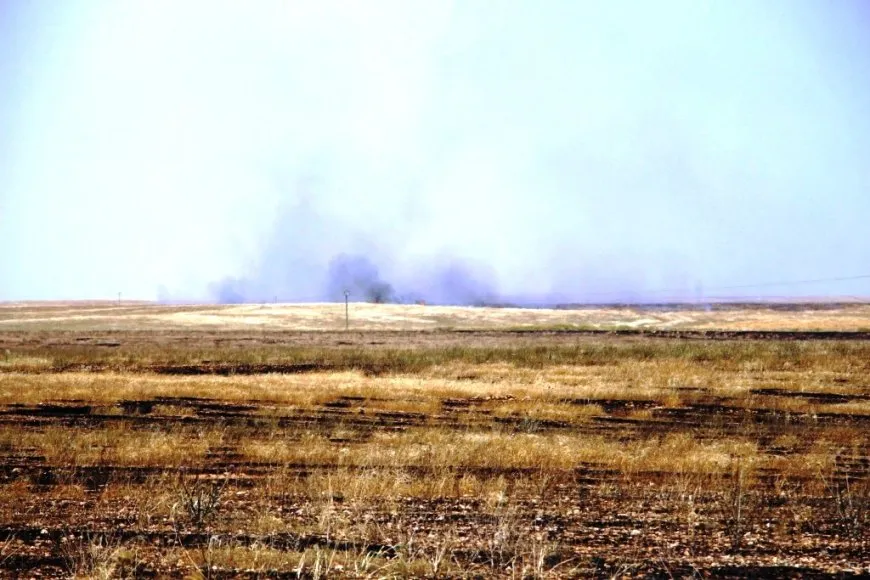 Extensive areas burned in NE, Syria owing Turkish occupation bombing