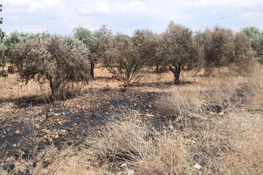 Extensive areas burned in NE, Syria owing Turkish occupation bombing