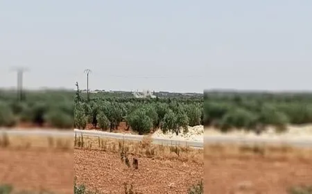 Turkish bombing on countryside of Manbij Canton