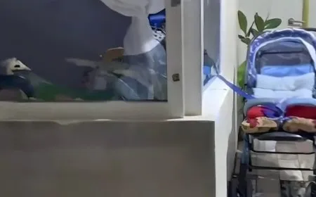 Footage shows damage after Turkish shelling on Dohuk
