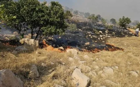 KRG ignores to extinguish fires in Agjilar