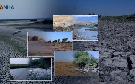 Evidence, data indicate a dangerous decline in natural resources within Syria's food basket