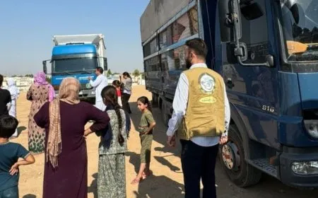 463 IDPs return to Şengal