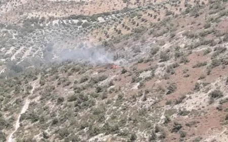 Turkish occupation sets fires in occupied Afrin mountains