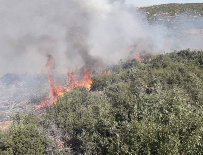 Turkey's mercenaries set fires in occupied Afrin for 7th day