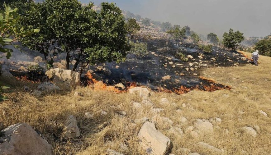 KRG ignores to extinguish fires in Agjilar