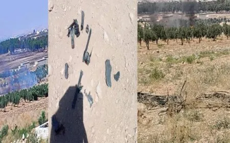 Al-Bab Council downs 2 Turkish drones
