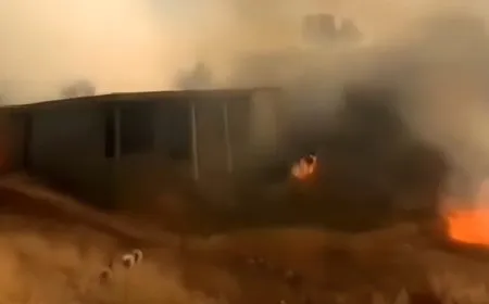 Turkish occupation sets fire in Berwari, S. Kurdistan