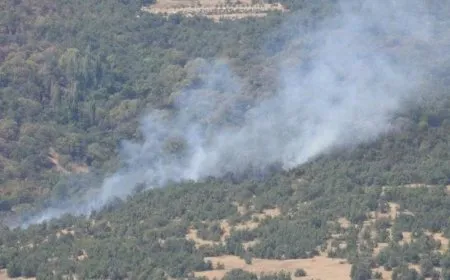 Massive fires in forests of Amadiya villages due to Turkish occupation's bombing