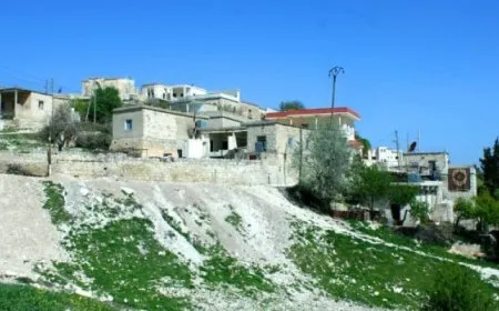 Turkish mercenaries forcibly evict Kurds in Afrin