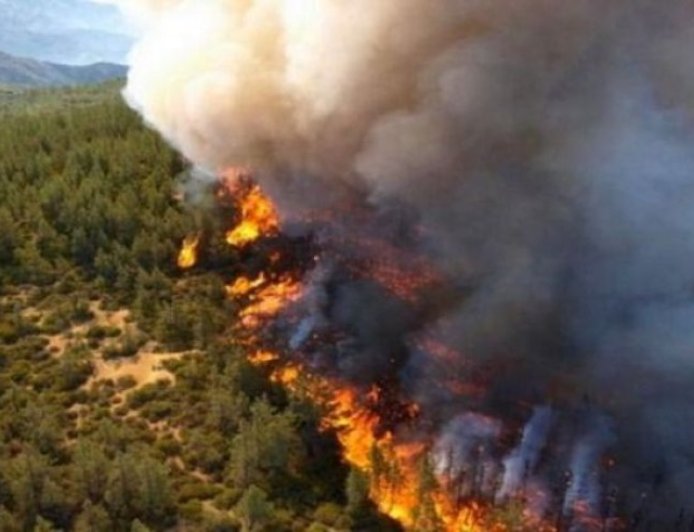 Fires by Turkish mercenaries pose desertification risks