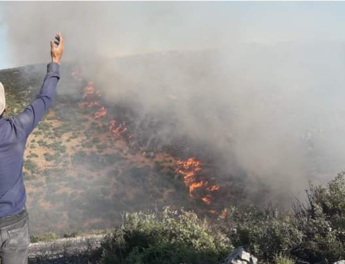 Cutting, burning 21 million, five thousand trees in occupied Afrin